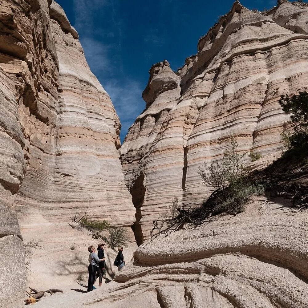 Best Cool and Unique Airbnbs in New Mexico — Travels and Curiosities